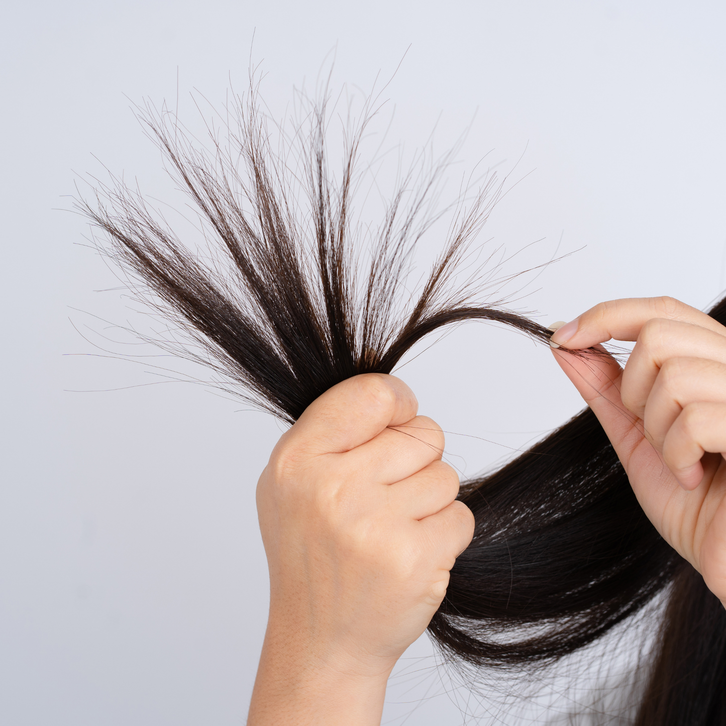 Línea Completa Anticaída GRR + Reparador de Puntas GRR